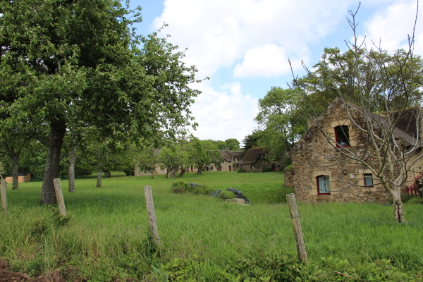 site113